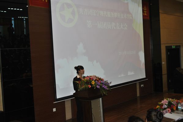 5.院团委副书记王丽迎做工作报告