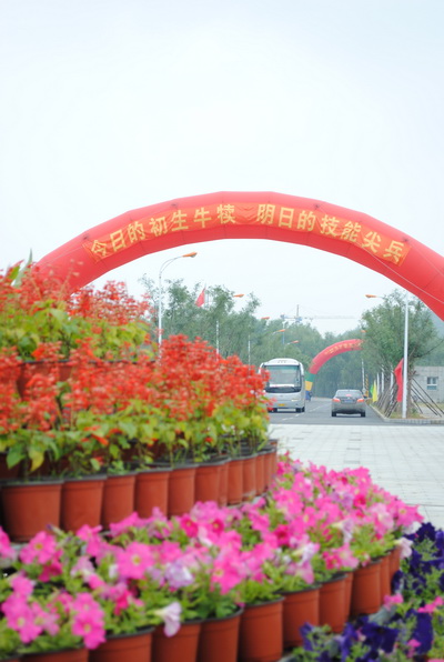 2012级新生报到-4 2012级新生报到-4